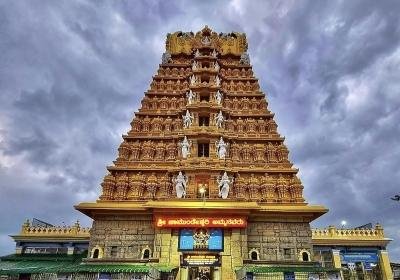 tourist places to visit in Mysore
