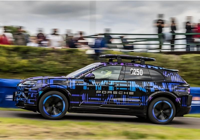 Camouflaged Cayenne Electric