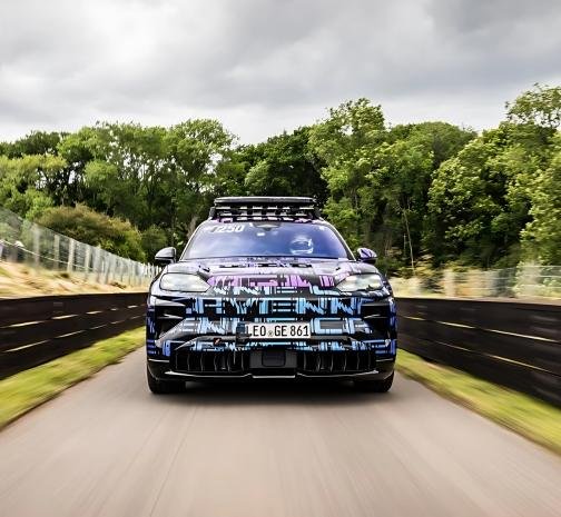 Camouflaged Cayenne Electric shows usefulness and performance.